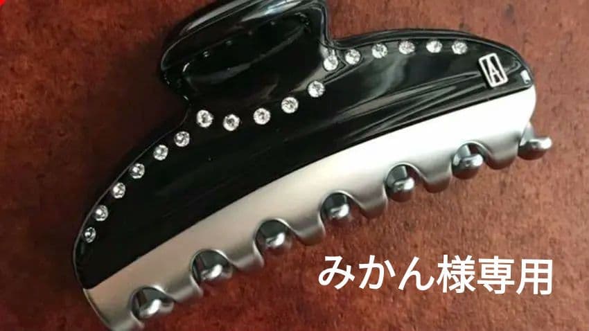 M 銀　ALEXANDRE DE PARIS ヘアクリップ ヴァンドーム