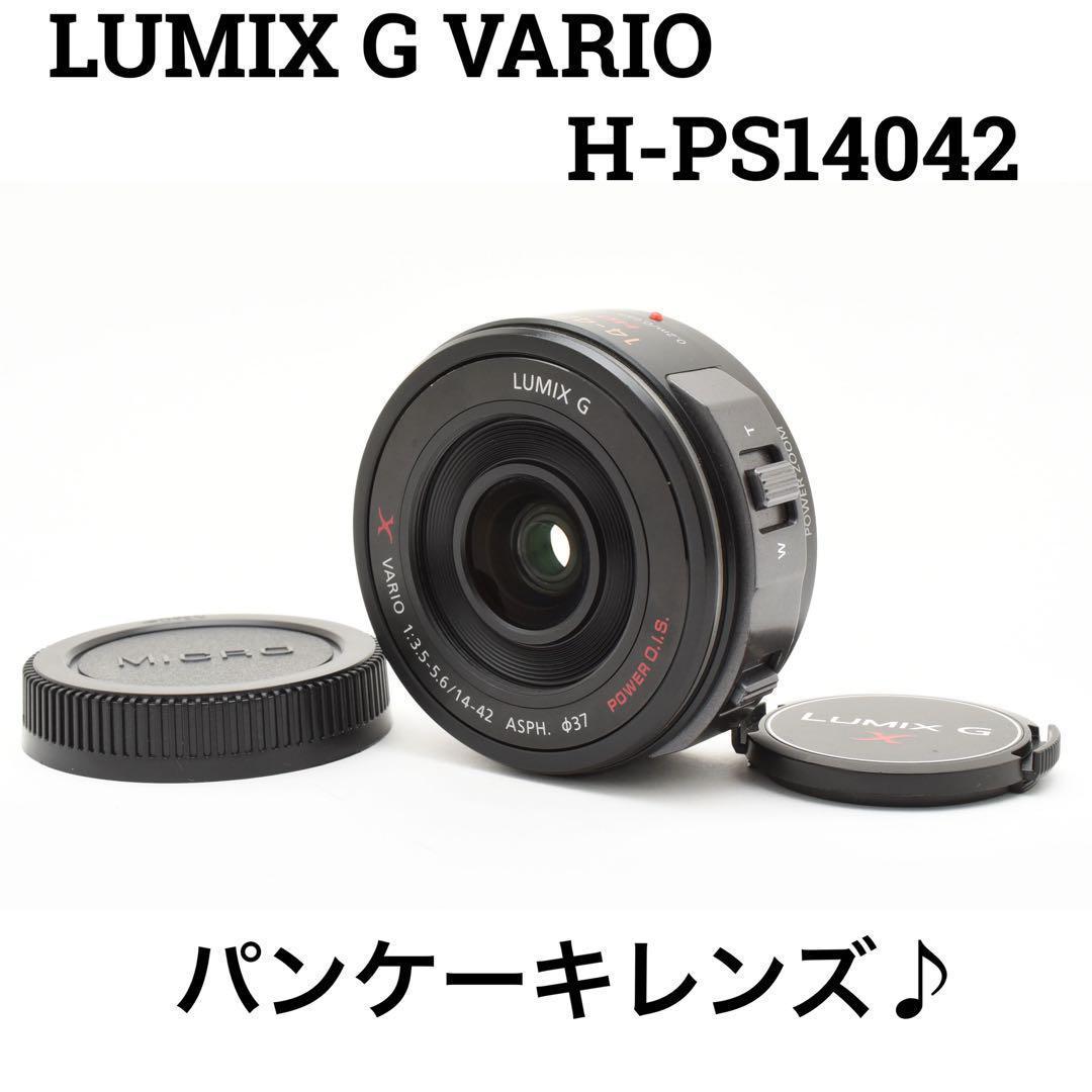パナソニック LUMIX G X VARIO H-PS14042