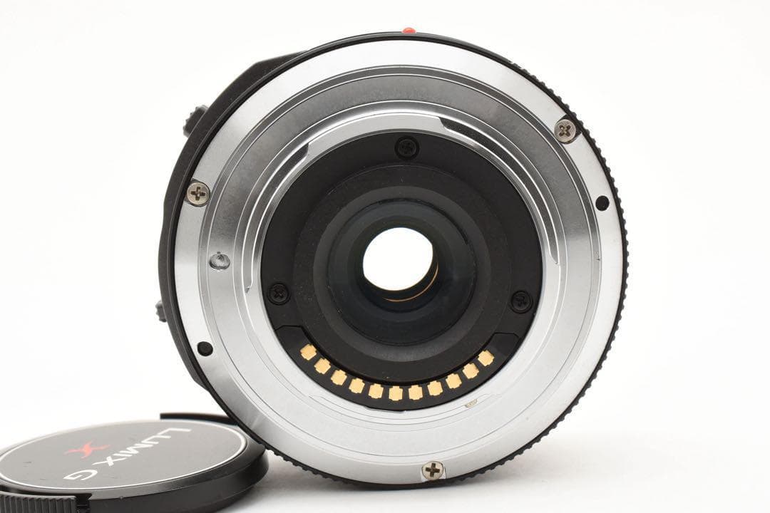 パナソニック LUMIX G X VARIO H-PS14042