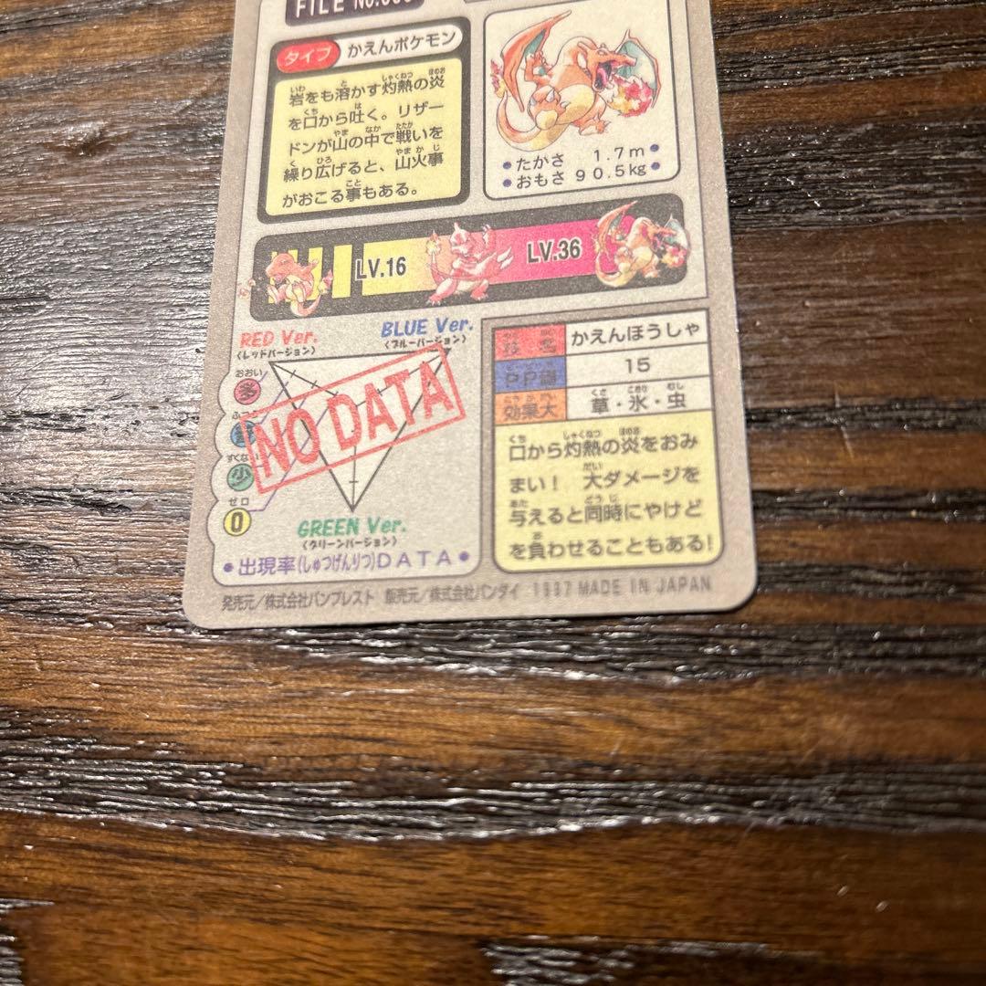 ポケットモンスター リザードン FILE No.006