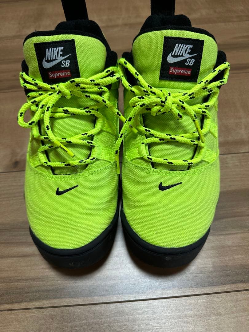Supreme x Nike SB darwin green ダーウィン