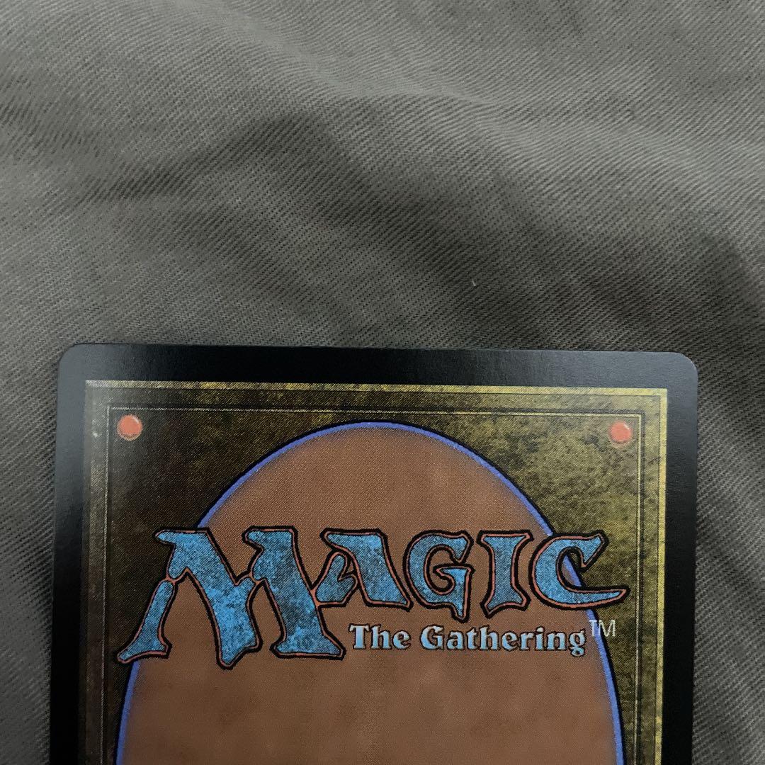 FOIL版　完成化した賢者、タミヨウ　おまけ付き