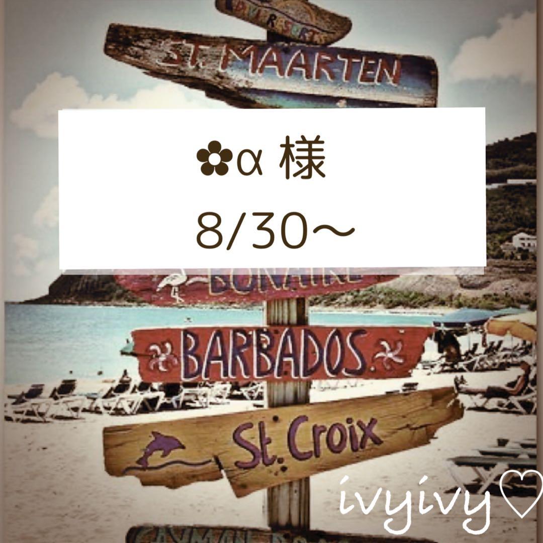 ✿α 様8/30〜おまとめ用