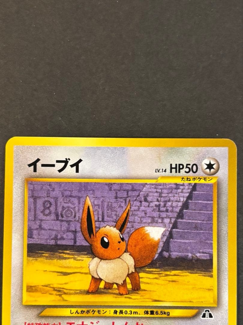 ポケモンカード 旧裏 イーブイレベル14 プロモプレミアム
