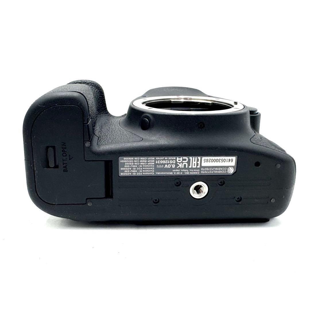 未使用級！Canon キャノン EOS 6D Mark II 2 ボディ