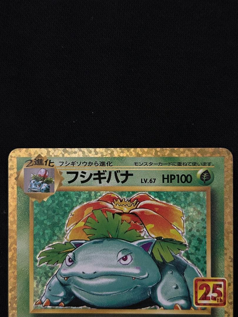 【限定価格】カメックス プロモカードパック 25th ANNIVERSARY