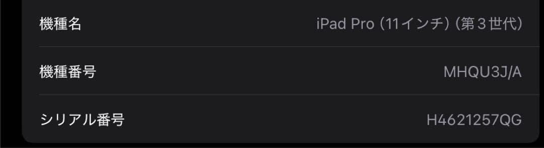 iPad pro 11インチ256GB WiFiモデル Appleペンシル