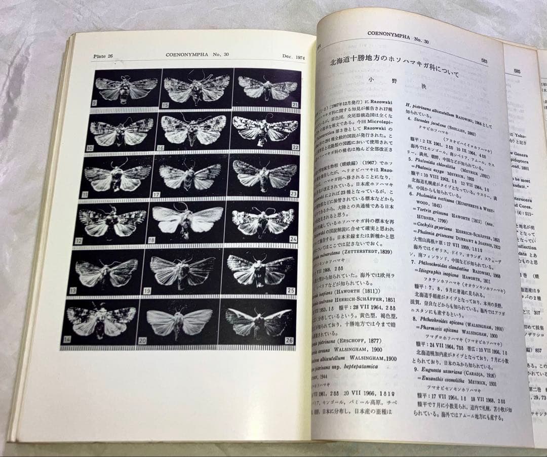 日本鱗翅目同好会 会報1967年～1974年ファイリング 研究者用 調査資料