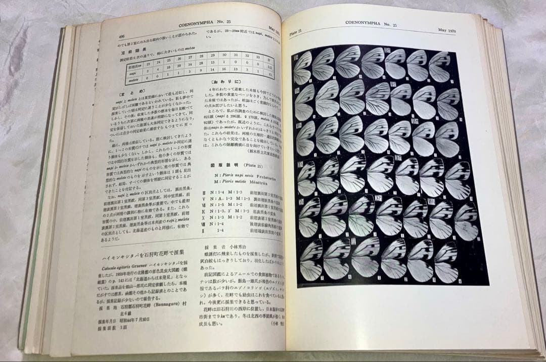 日本鱗翅目同好会 会報1967年～1974年ファイリング 研究者用 調査資料