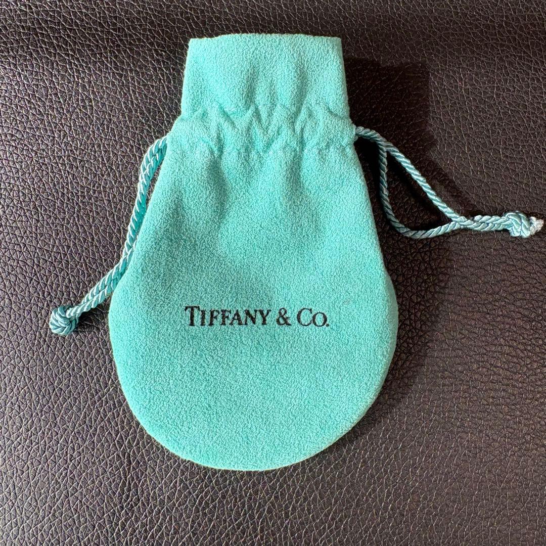 【極希少】美品 ティファニー ダブルロープ センターノットネックレス SV925