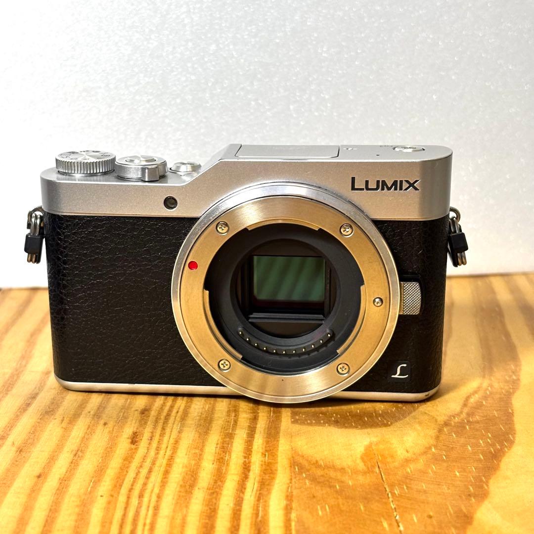 パナソニックLUMIX DC-GF9 人気のシルバー／ブラック