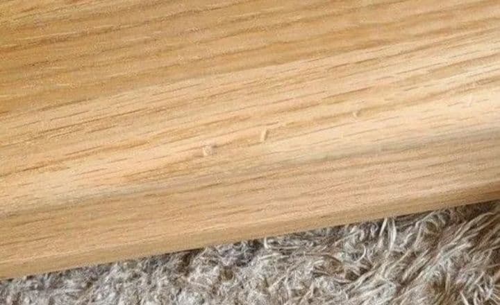 アクタス / ACTUS 日本製 T-KIDSチェア