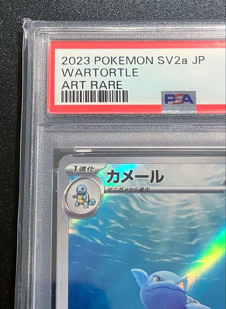 PSA10 AR カメール