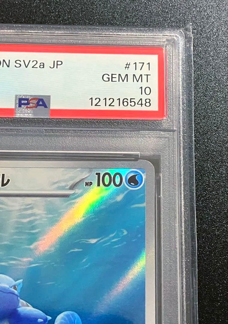 PSA10 AR カメール