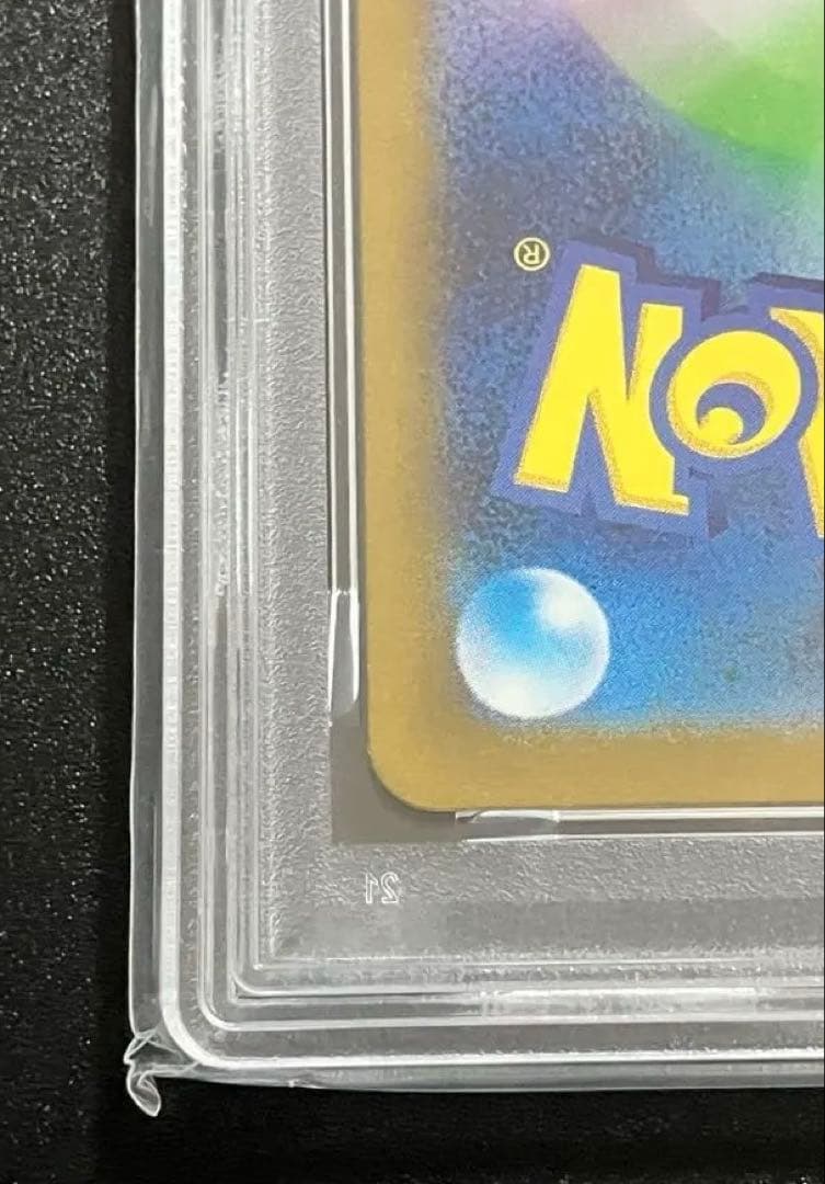 PSA10 AR カメール