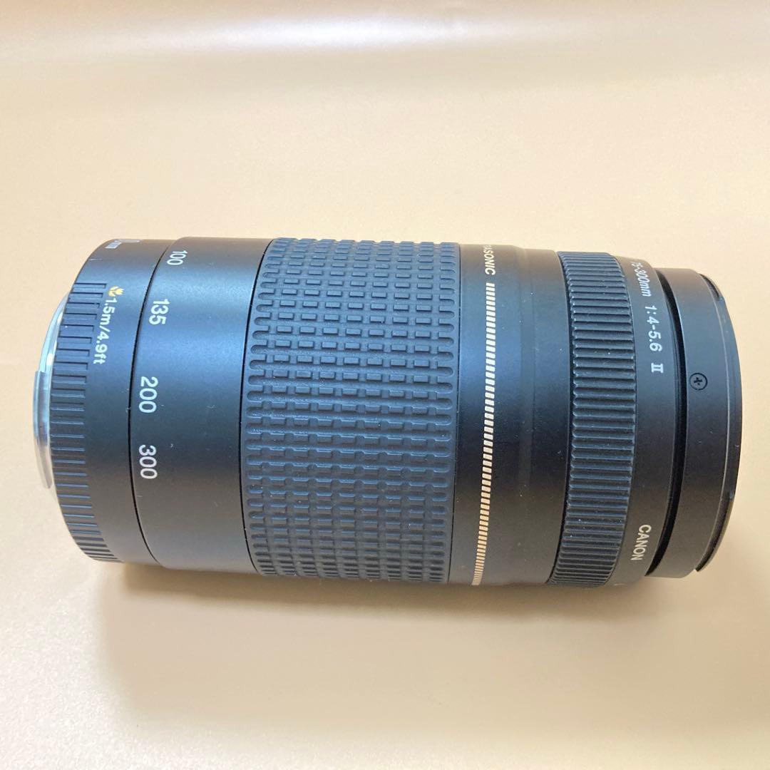 ◾️完動品　ズームレンズ　CANON EF 75-300mm II USM