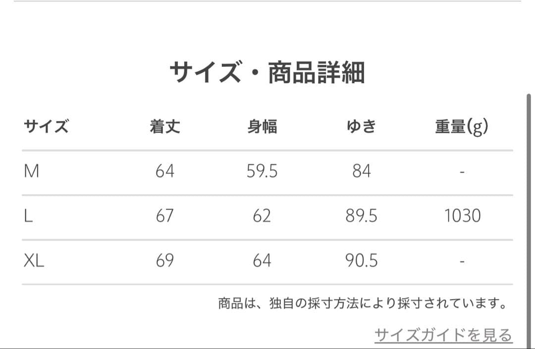 Schott BEAUTY&YOUTH UNITED ARROWレザージャケット