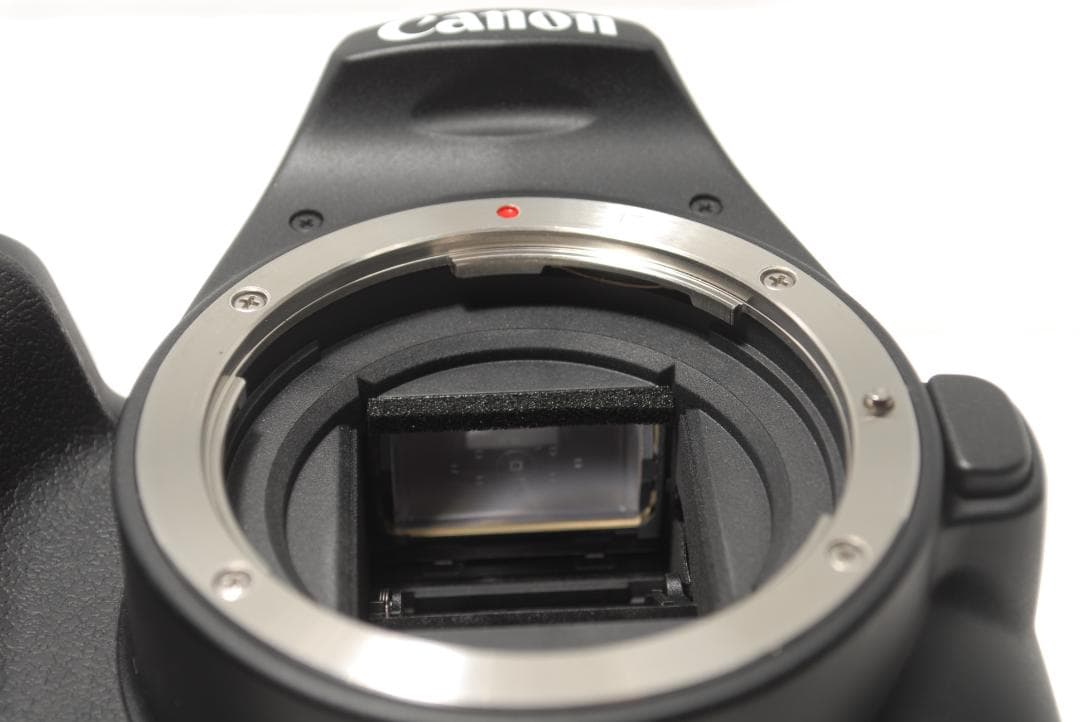 ☘️大容量カメラバッグ付き☘️Canon kiss x10 望遠ダブルレンズ