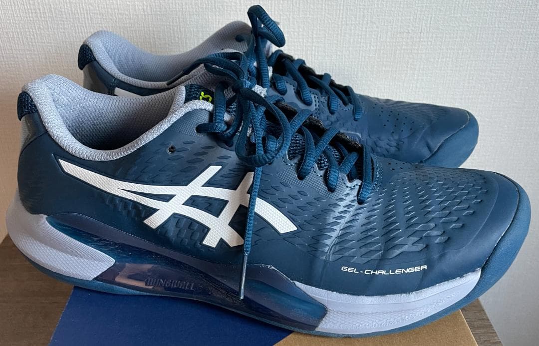 【美品】ASICS GEL-CHALLENGER テニスシューズ(カーペット用)