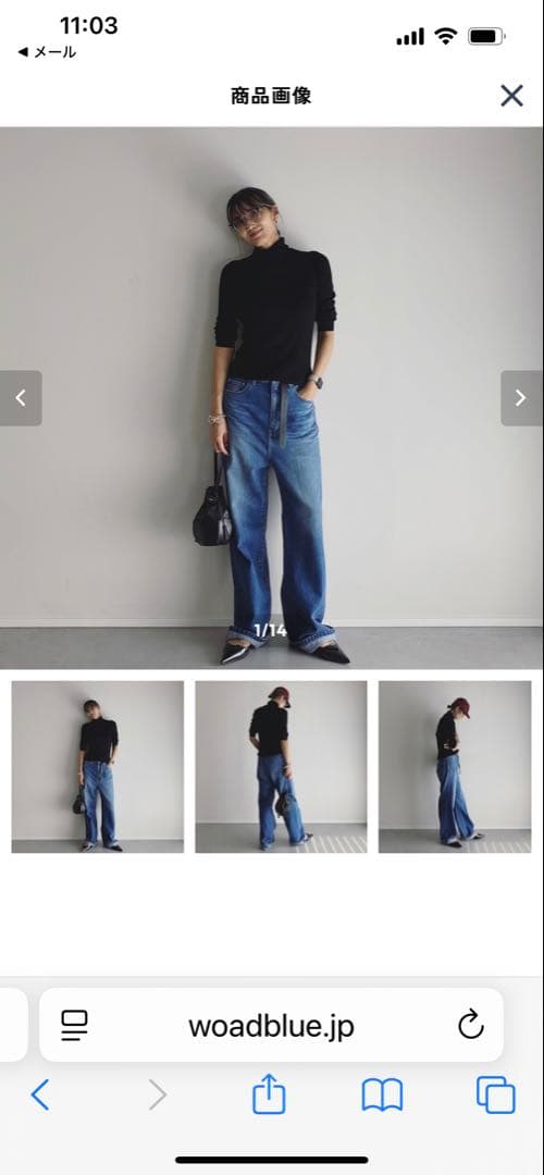 坪田あさみ woadblue サルー26インチ