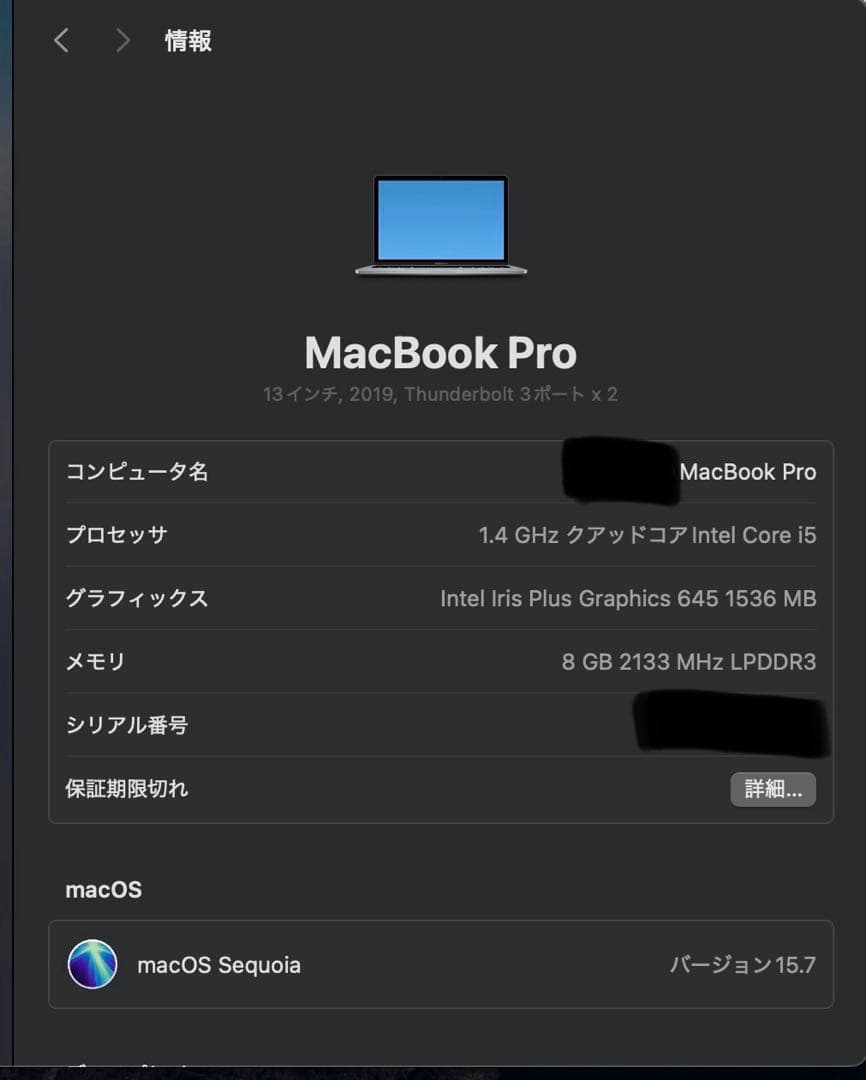Apple MacBook Pro スペースグレー& Magic Mouse 2
