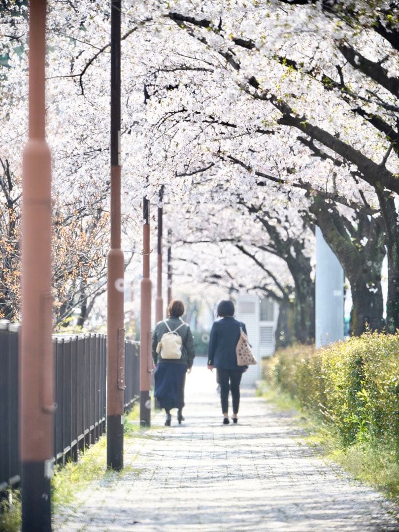 tokina sz 300mm pro reflex 超望遠単焦点　eマウント
