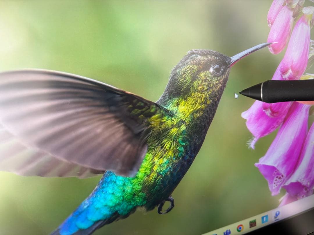 Wacom Cintiq 16 DTK1660K0D ワコム タブレット 液タブ