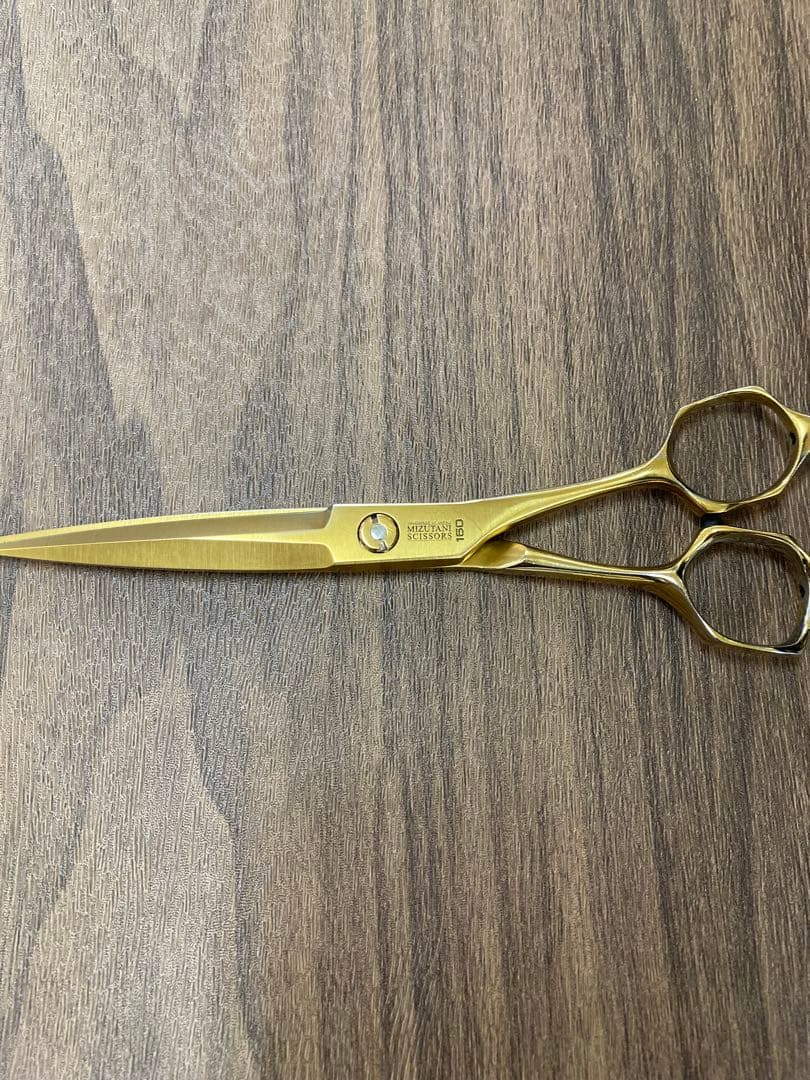 ミズタニシザー　ステライトアロイ　ゴールド加工160