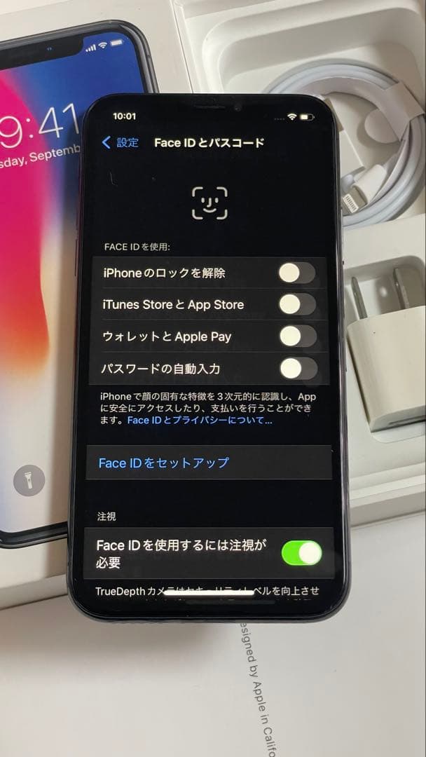Iphone X 256GB SIMフリー100%