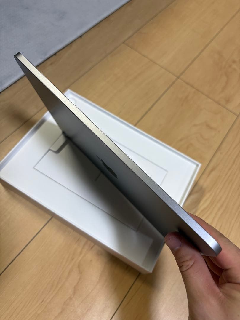 ふぐiPad Air M3 Apple Pencil Pro