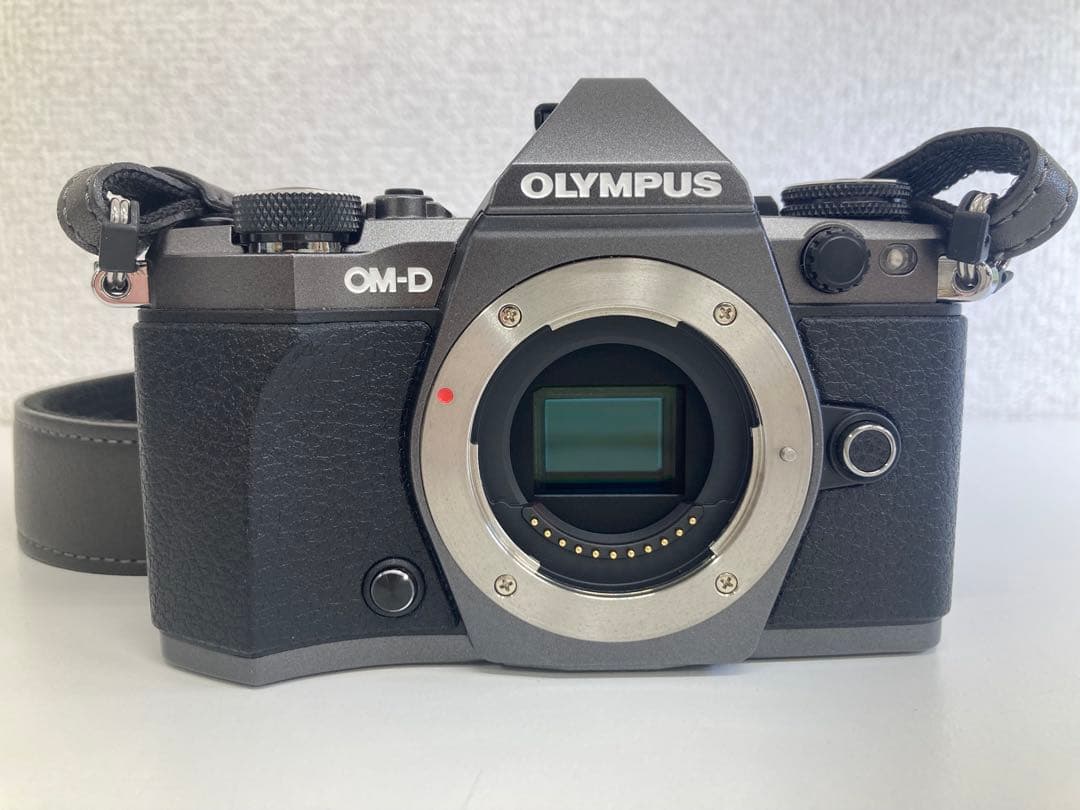 OLYMPUS オリンパスOM-D E-M5II ミラーレス一眼カメラ ブラック