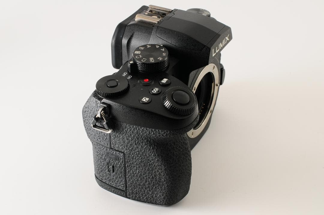 【美品 元箱付き】 パナソニック Panasonic LUMIX DC-G99