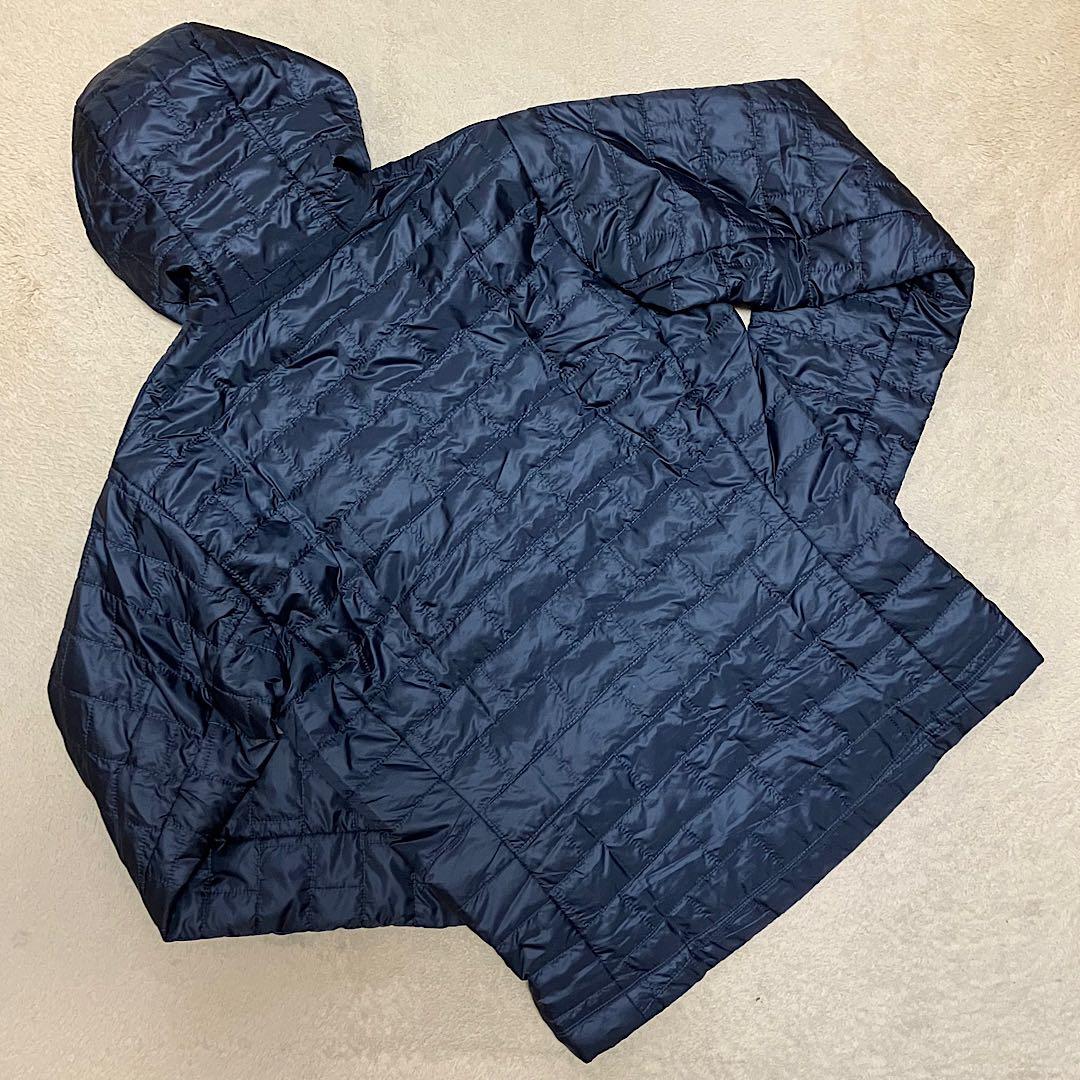 Patagonia FA23 ナノ・パフ・フィッツロイ・トラウト・フーディ