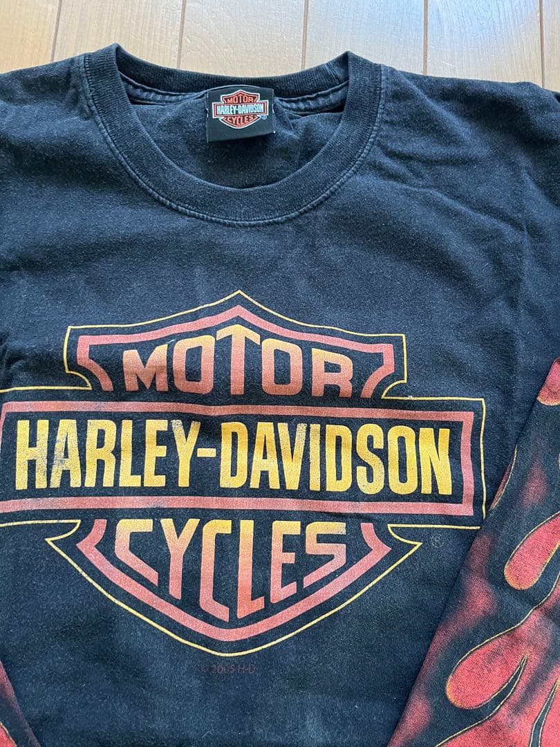 Harley-Davidson 長袖シャツ フレイムスリーブ Lサイズ