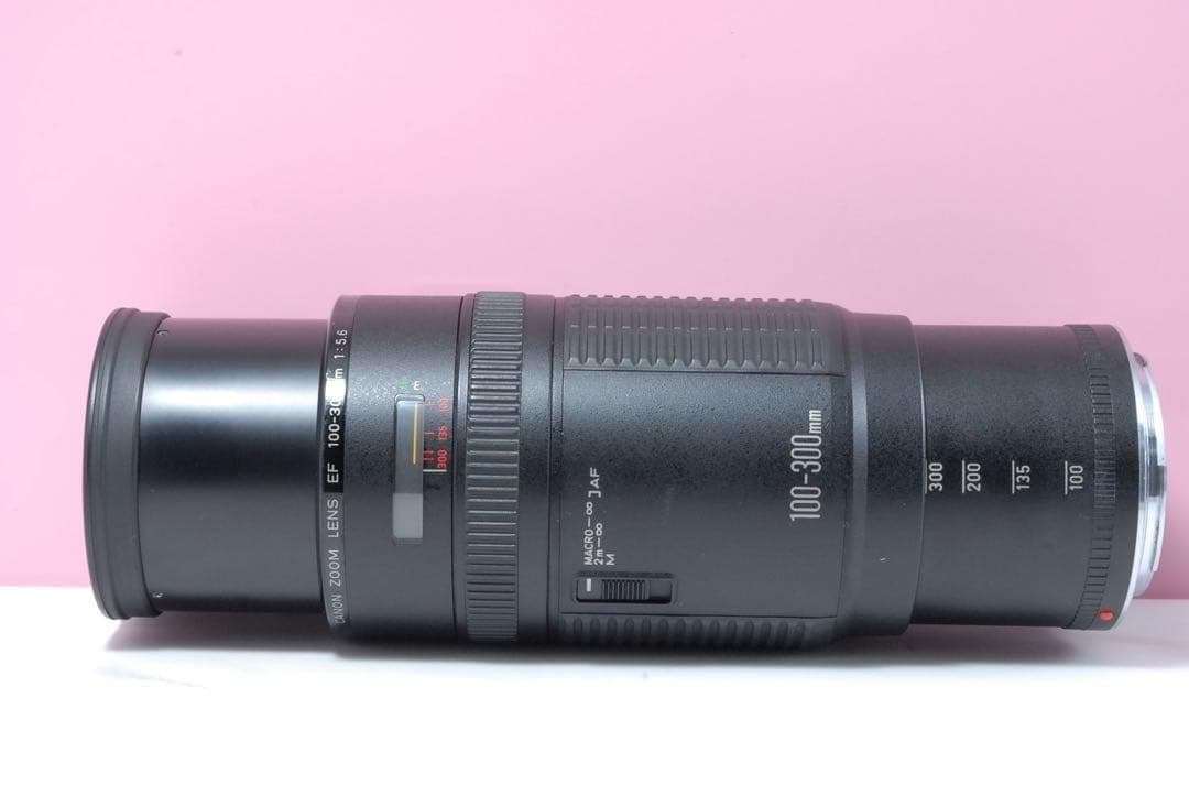 最終価格✨美品✨Canon EF 100-300mm 超望遠ズームレンズ