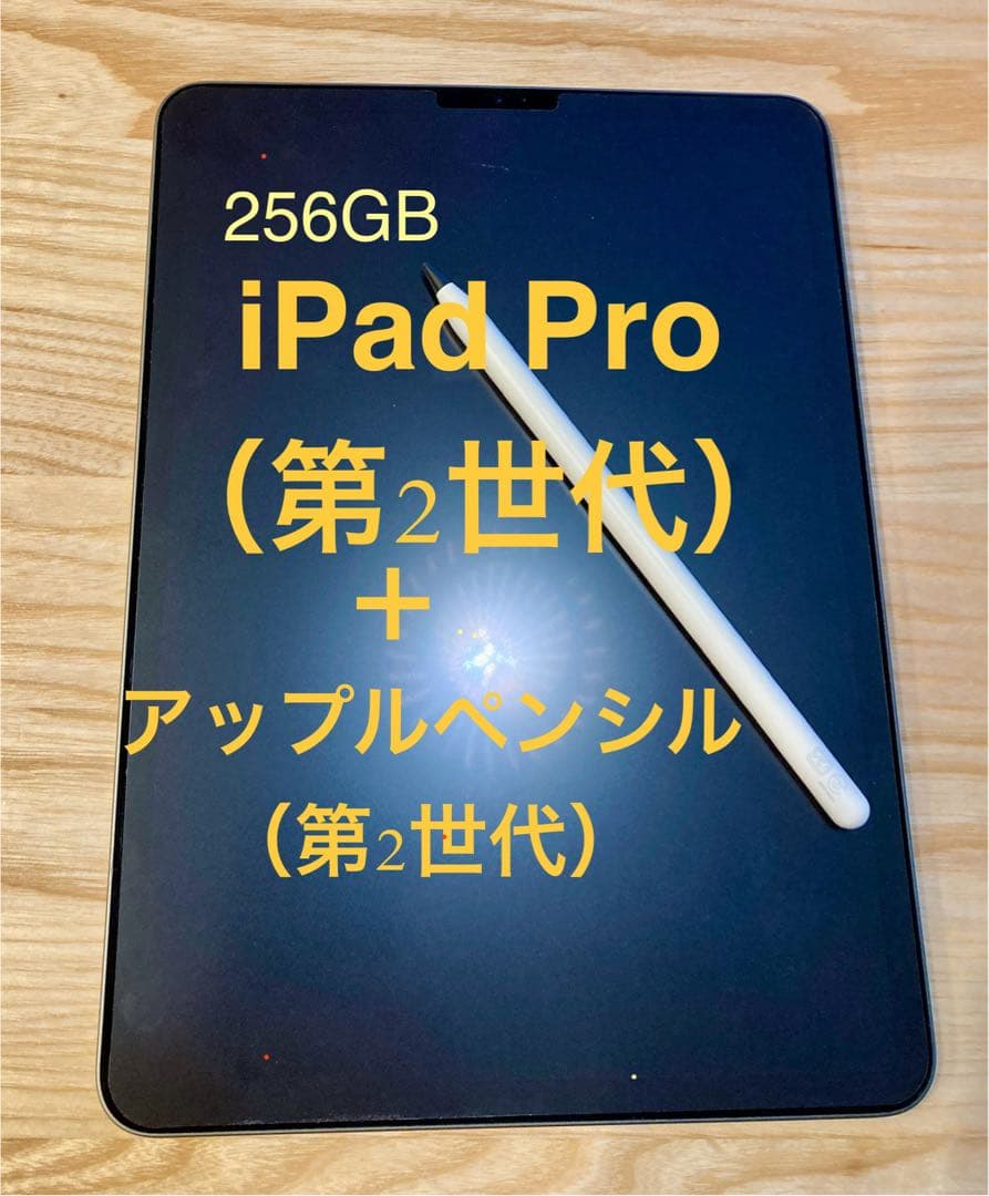 Apple iPad Pro 11インチ （第2世代）スペースグレー 256GB