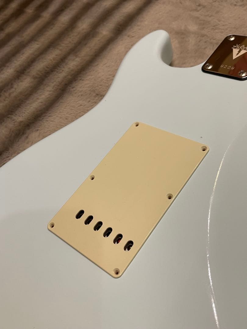 ギター Vanzandt STV-R2