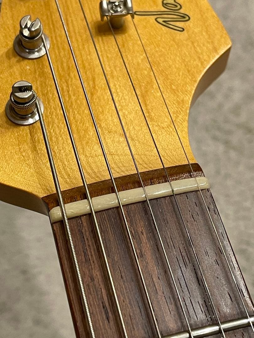 ギター Vanzandt STV-R2