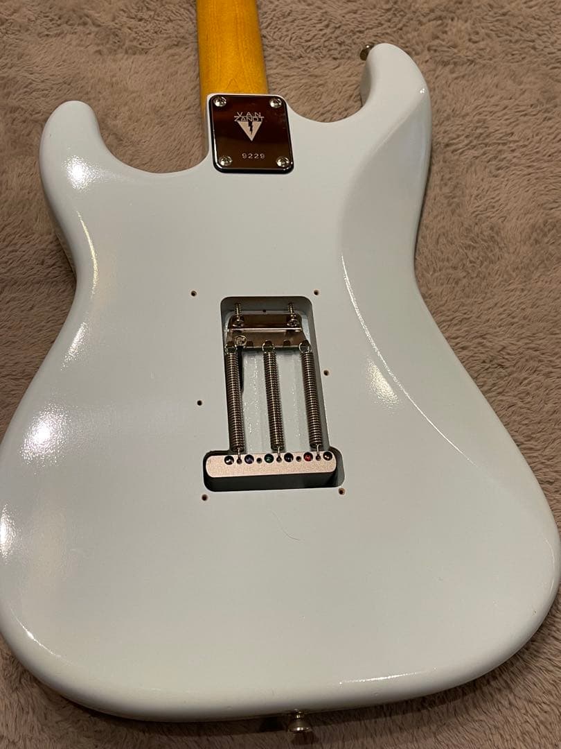 ギター Vanzandt STV-R2