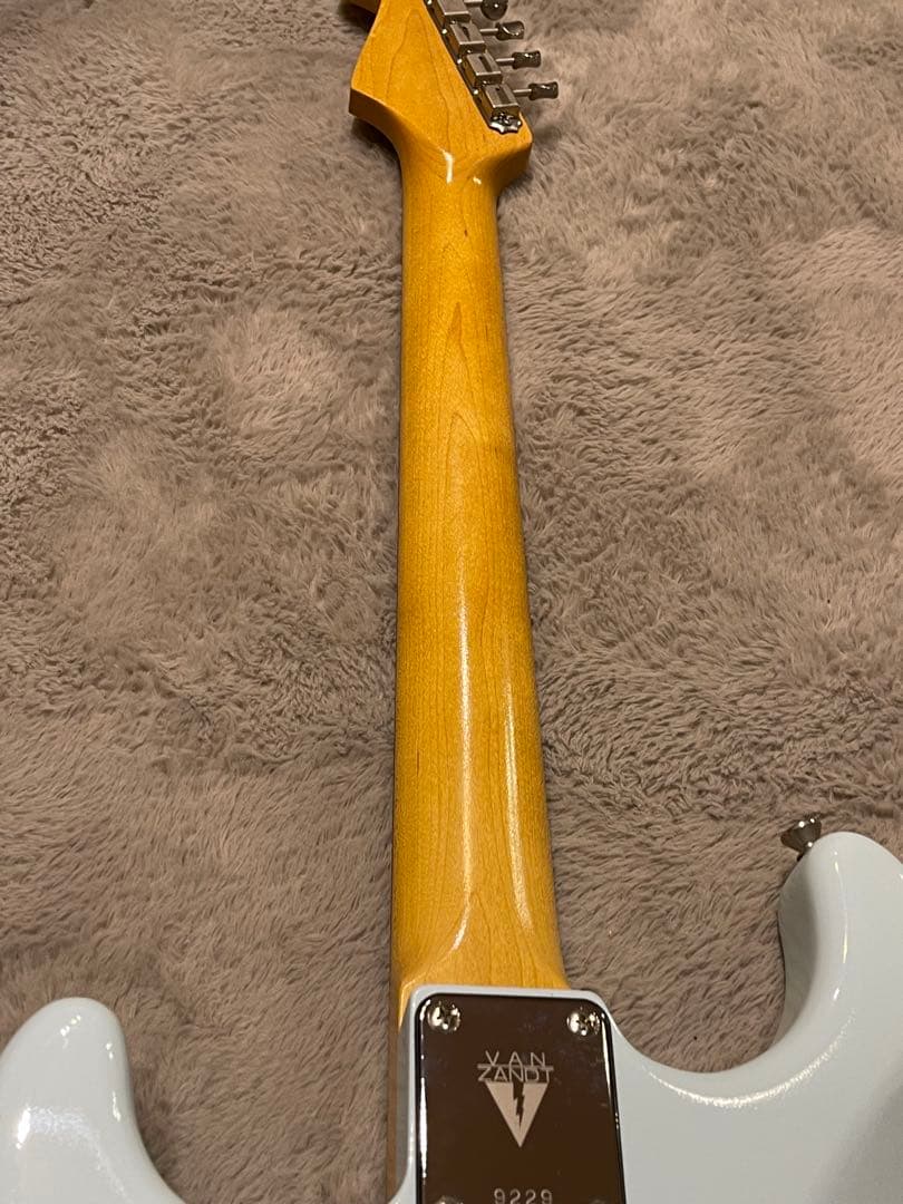 ギター Vanzandt STV-R2