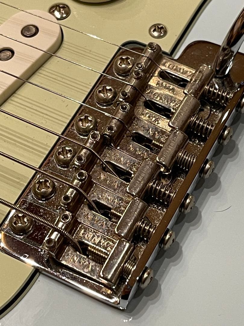 ギター Vanzandt STV-R2