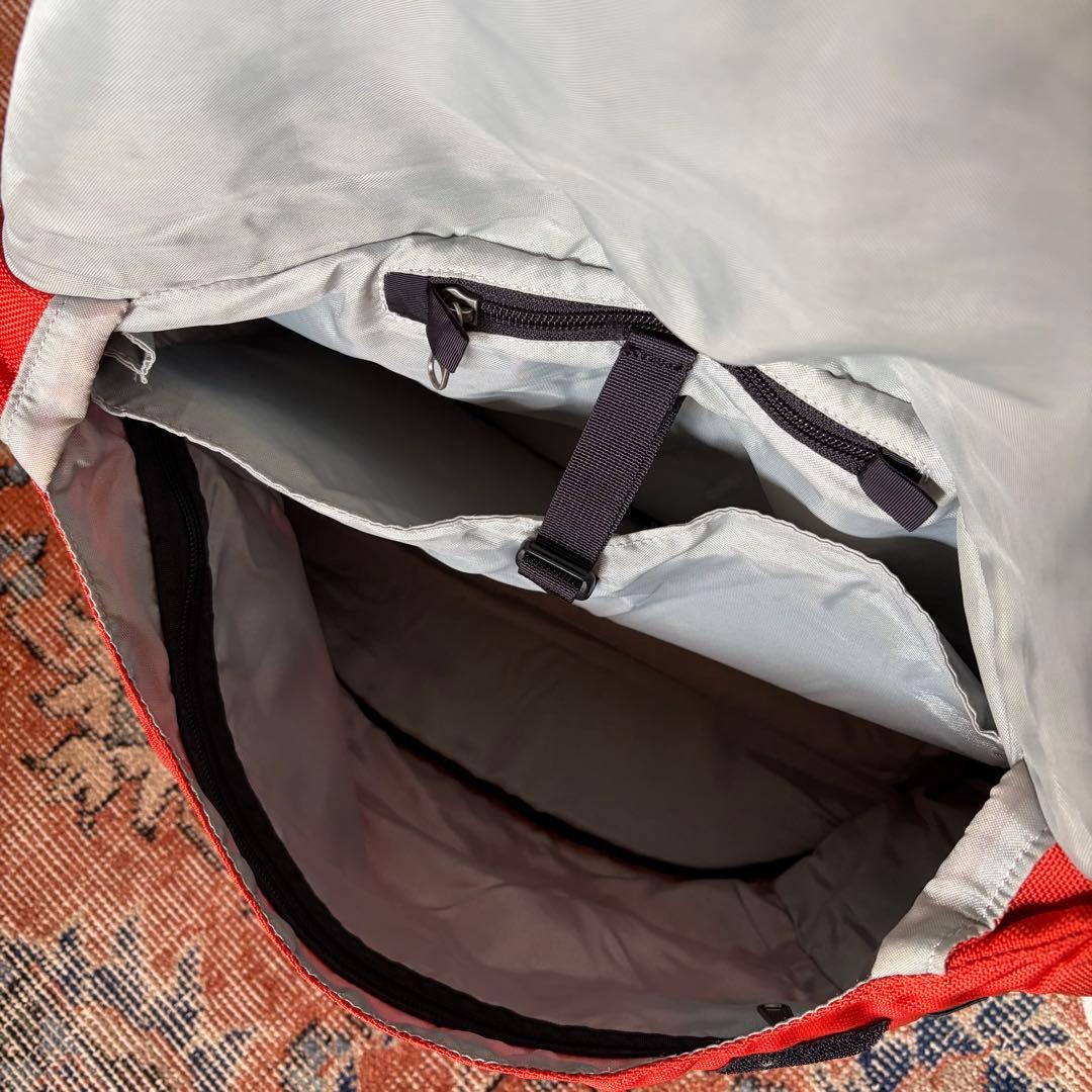 Patagonia クリティカルマス