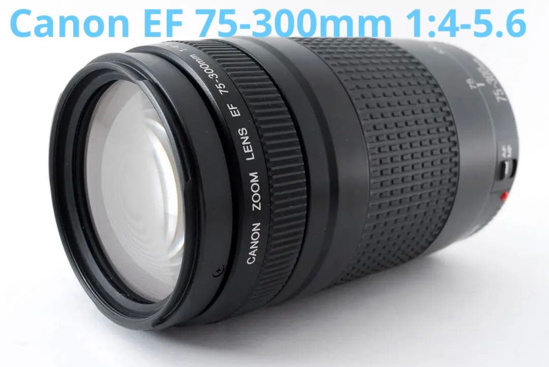 レンズフード付 Canon EF 75-300㎜F4-5.6II