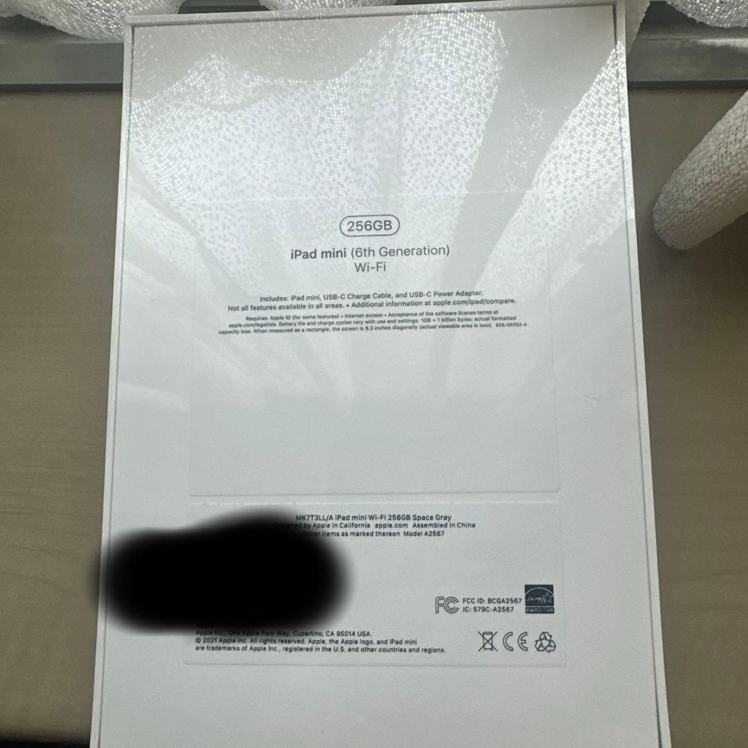 iPad本体 ipad mini 256GB