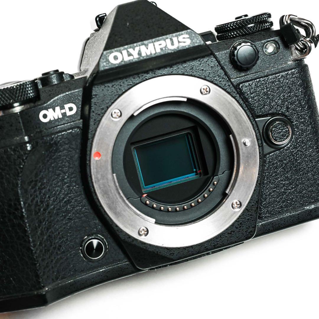 OLYMPUS OM-D E-M5 Mark II 12-50mm レンズキット