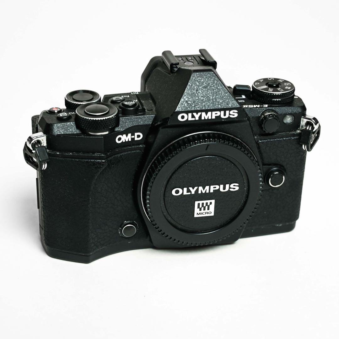 OLYMPUS OM-D E-M5 Mark II 12-50mm レンズキット