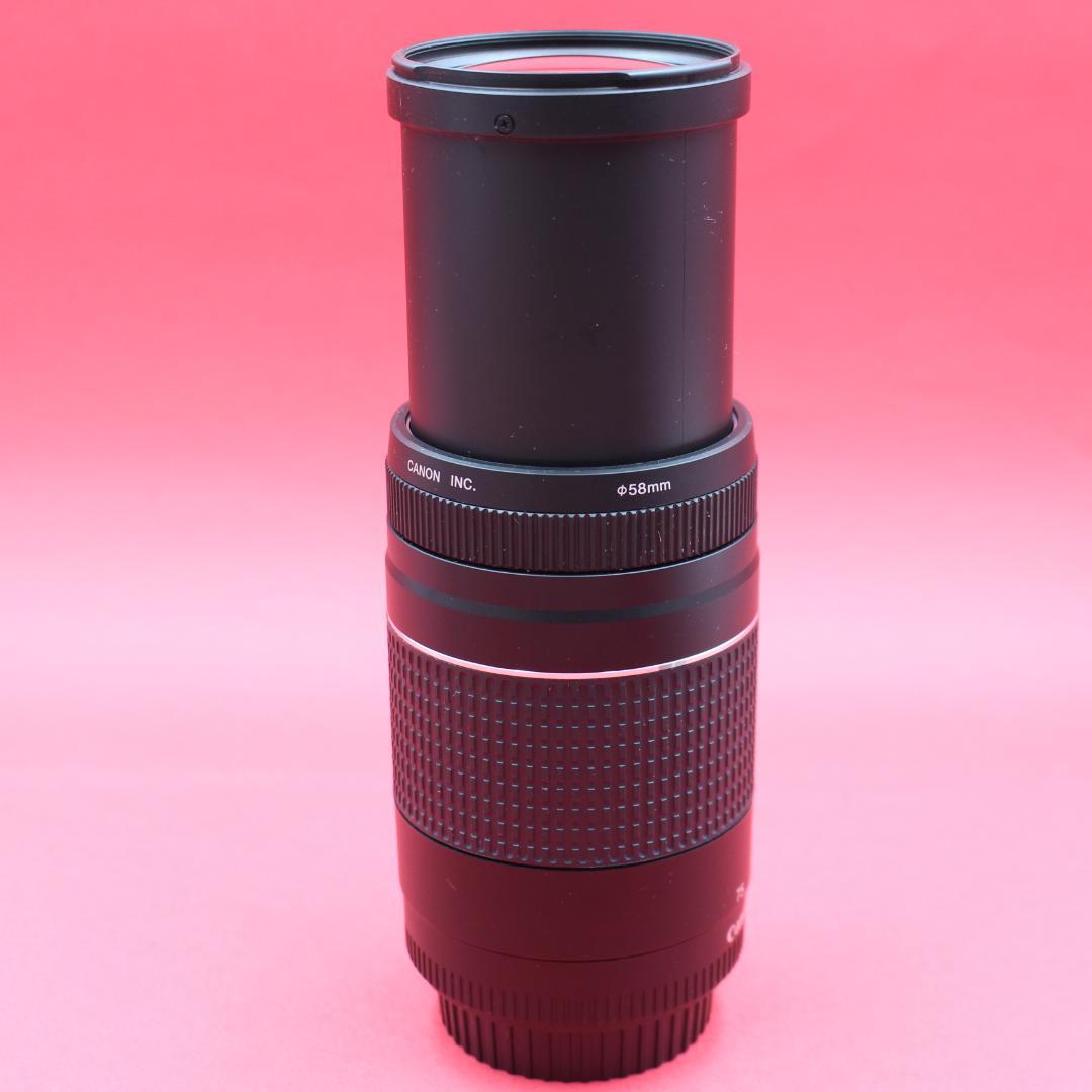 ❤️迫力ズーム❤️Canon 75-300mm❤️野鳥・飛行機撮影❤️