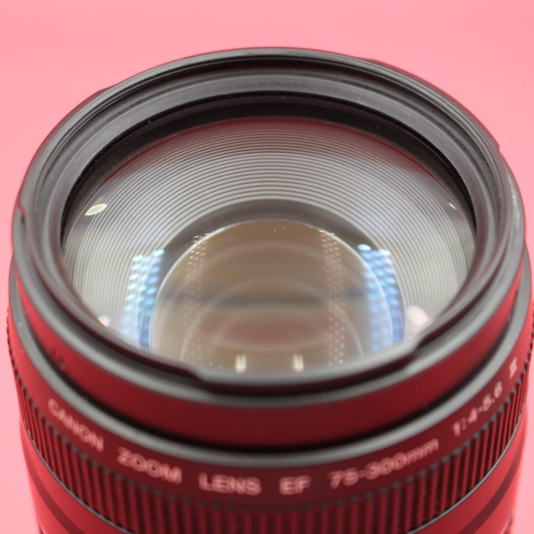 ❤️迫力ズーム❤️Canon 75-300mm❤️野鳥・飛行機撮影❤️