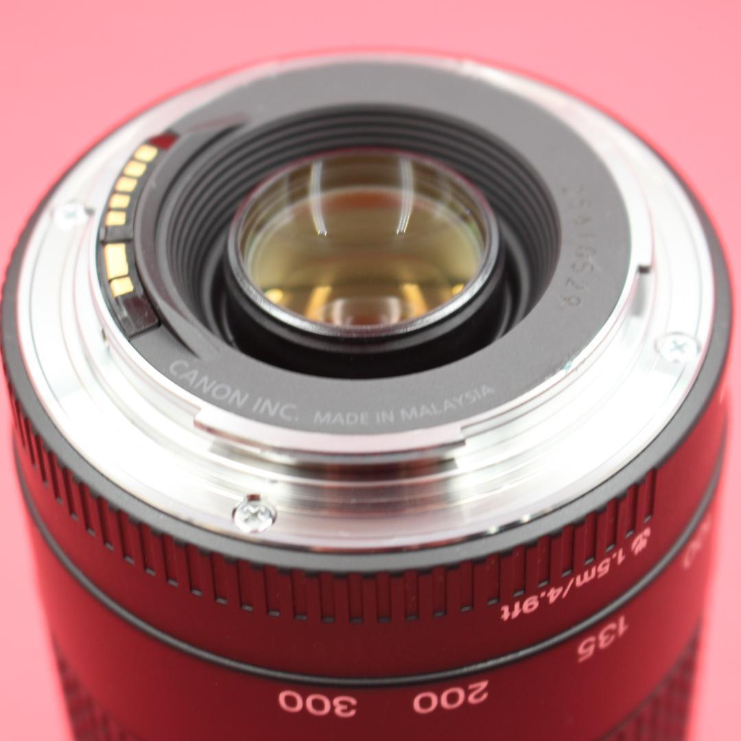 ❤️迫力ズーム❤️Canon 75-300mm❤️野鳥・飛行機撮影❤️