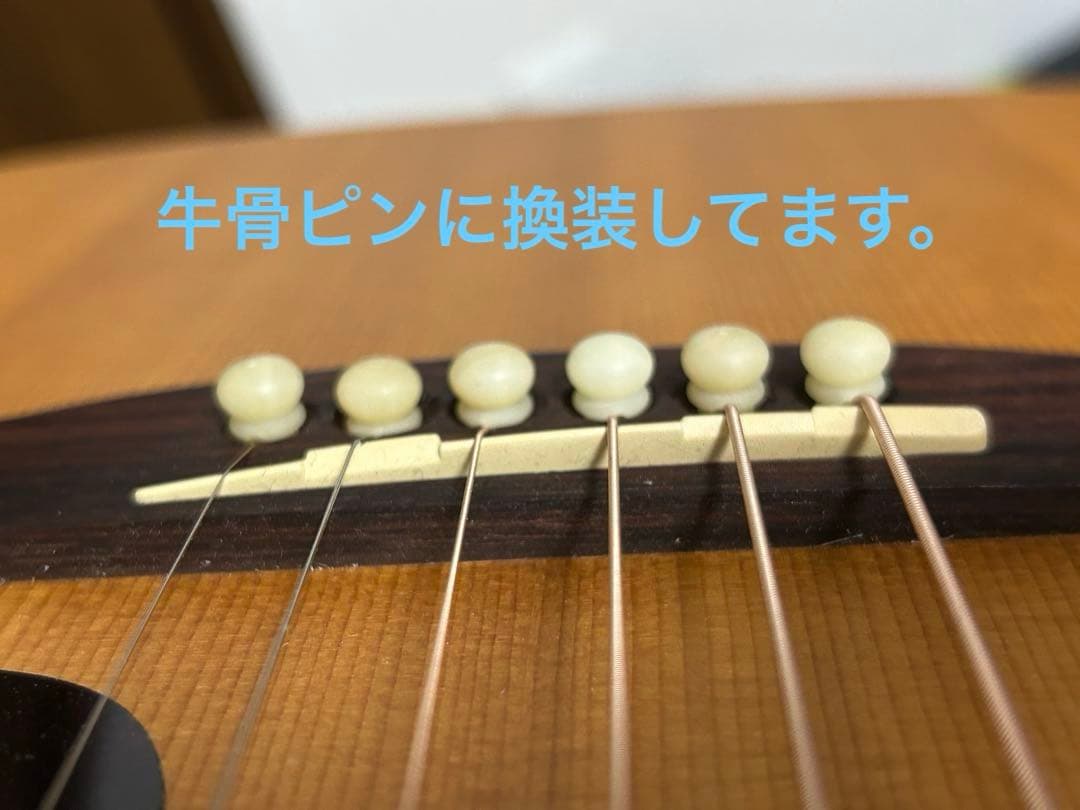 シーガル M6 スプルース　アコースティックギター